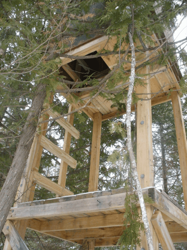 Best ideas about DIY Deer Blind
. Save or Pin How to Build a Natural Deer Hunting Blind Know Prepare Now.