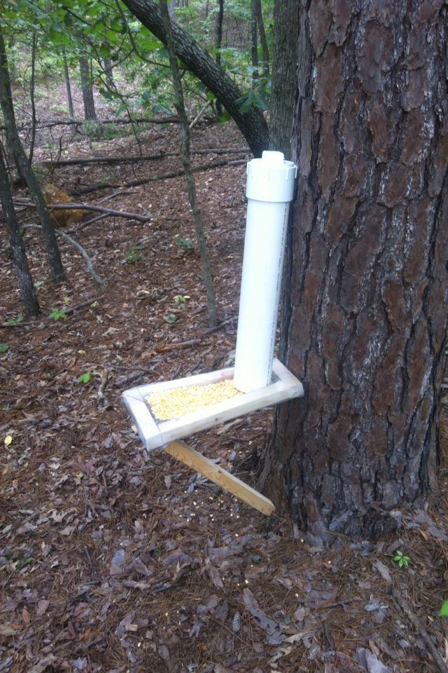 Best ideas about DIY Deer Feeder
. Save or Pin $15 00 deer feeder made with a 2x2 inch wood frame and a Now.