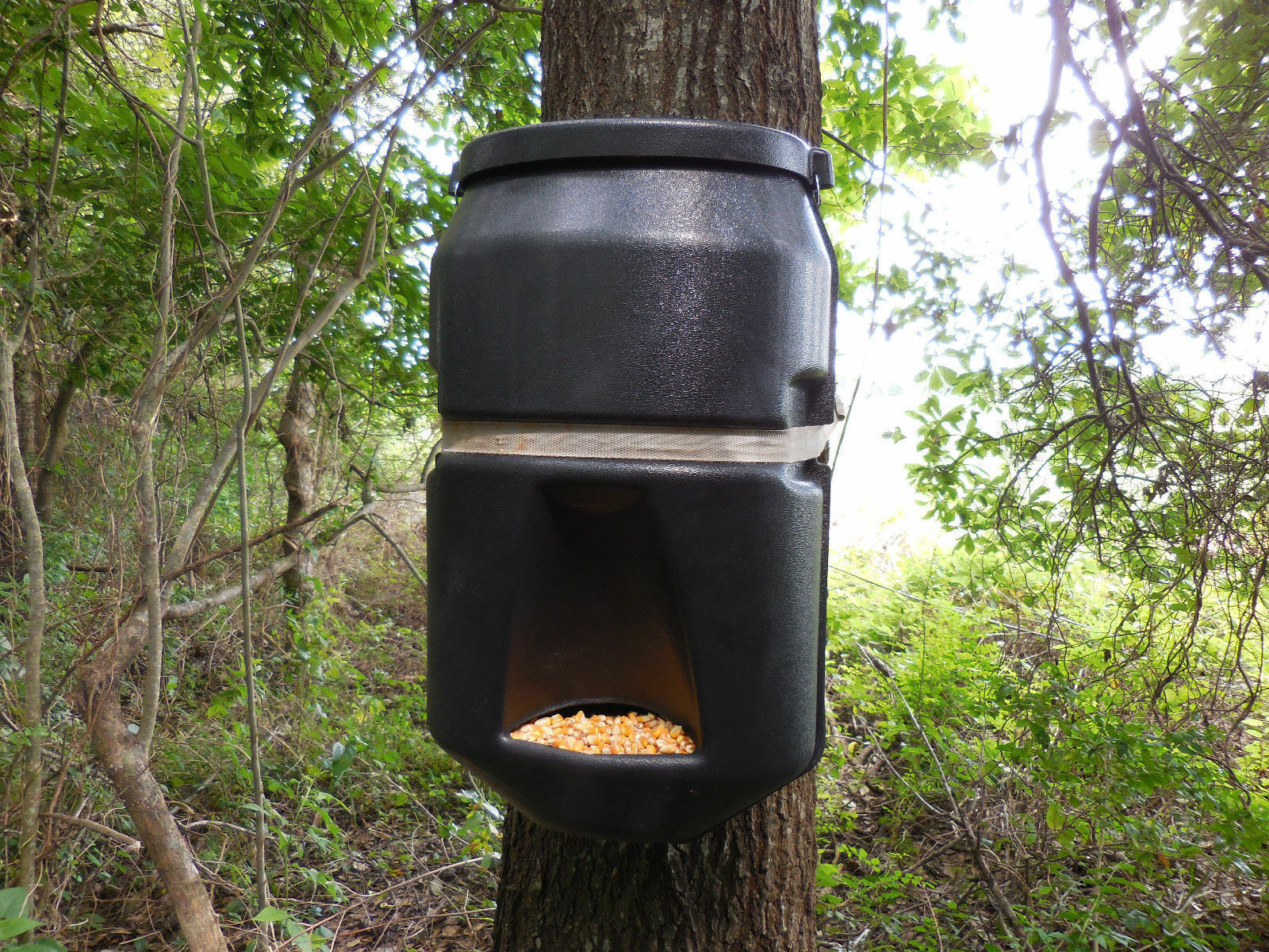 Best ideas about DIY Deer Feeder
. Save or Pin How to Make a Gravity Deer Feeder Now.
