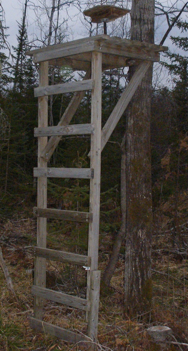 Best ideas about DIY Deer Stand
. Save or Pin Here Wood tripod deer stand plans grand woodworking plans Now.