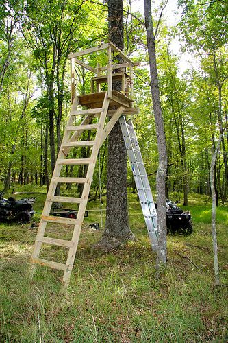 Best ideas about DIY Deer Stands
. Save or Pin pictures of homemade tree stands Google Search Now.