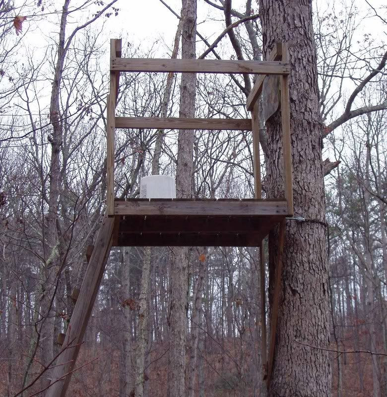 Best ideas about DIY Deer Stands
. Save or Pin DIY Deer Stand Bing for the hubby Now.