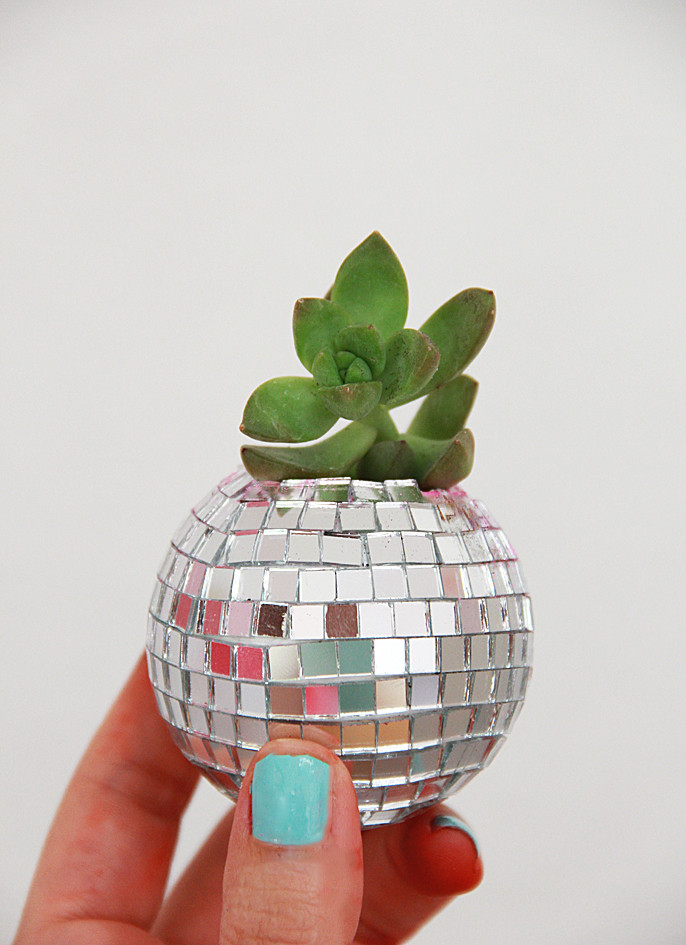 Best ideas about DIY Disco Ball
. Save or Pin A Bubbly Life DIY Disco Ball Succulent Planters Now.