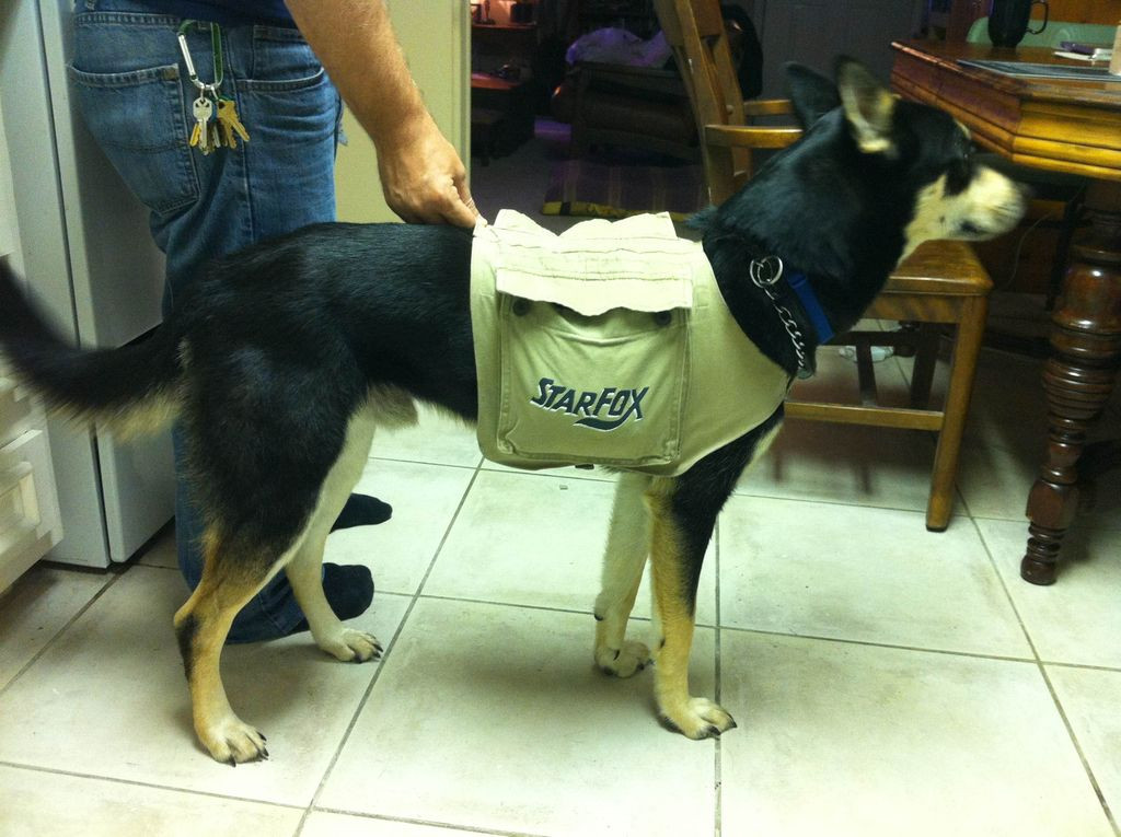 Best ideas about DIY Dog Backpack
. Save or Pin Doggy Cooling Vest Backpack from cargo pants Now.