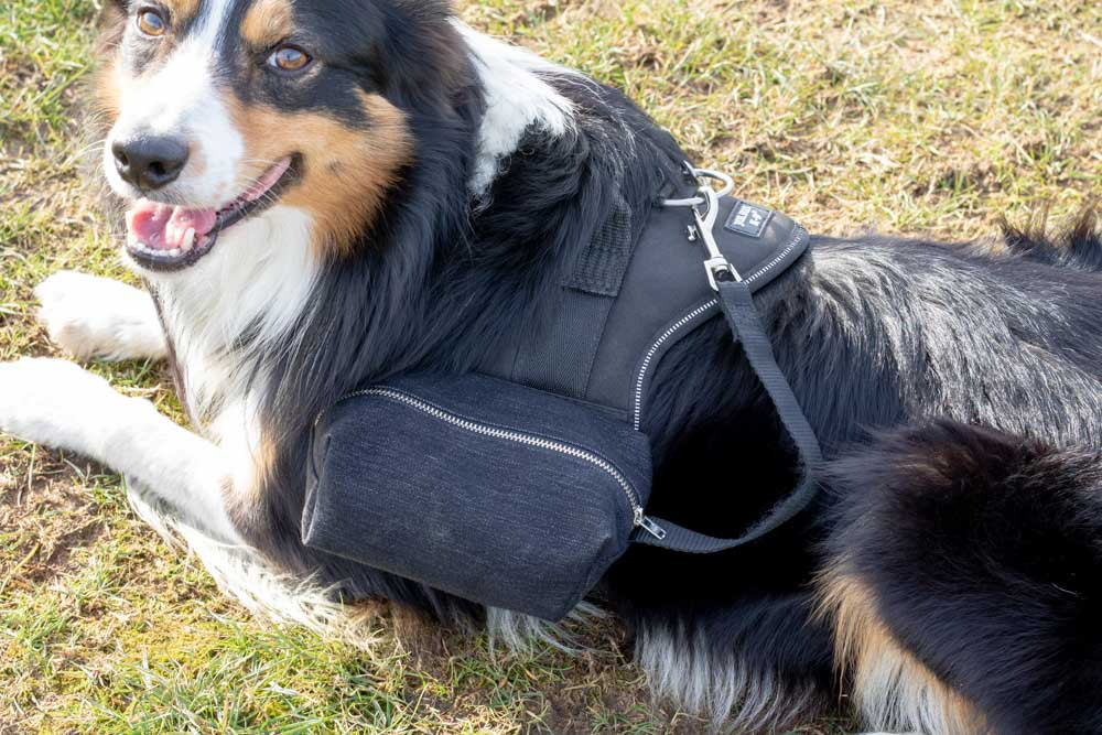 Best ideas about DIY Dog Backpack
. Save or Pin How to Make a DIY Dog Backpack Using a Julius K9 Harness Now.