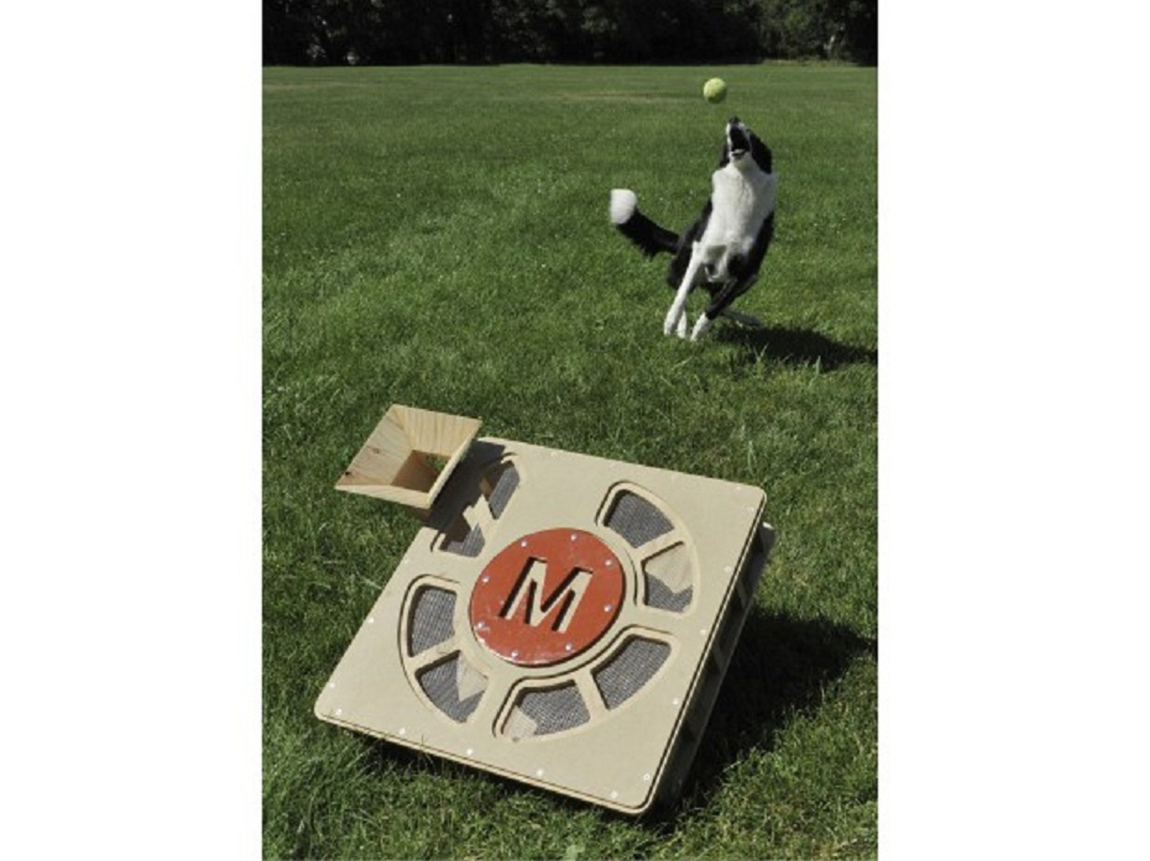 Best ideas about DIY Dog Ball Launcher
. Save or Pin 10 Perfect DIY Projects for Makers Who Love Their Pets Now.