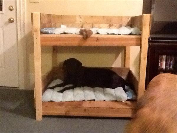 Best ideas about DIY Dog Bed Plans
. Save or Pin DIY Pet Bunk Bed Plans to Build Dog Bed Now.