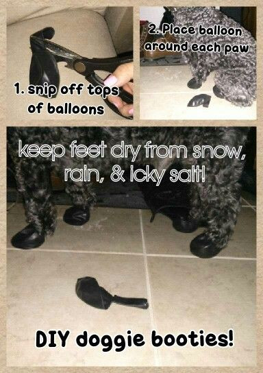 Best ideas about DIY Dog Booties
. Save or Pin 17 Best ideas about Dog Booties on Pinterest Now.