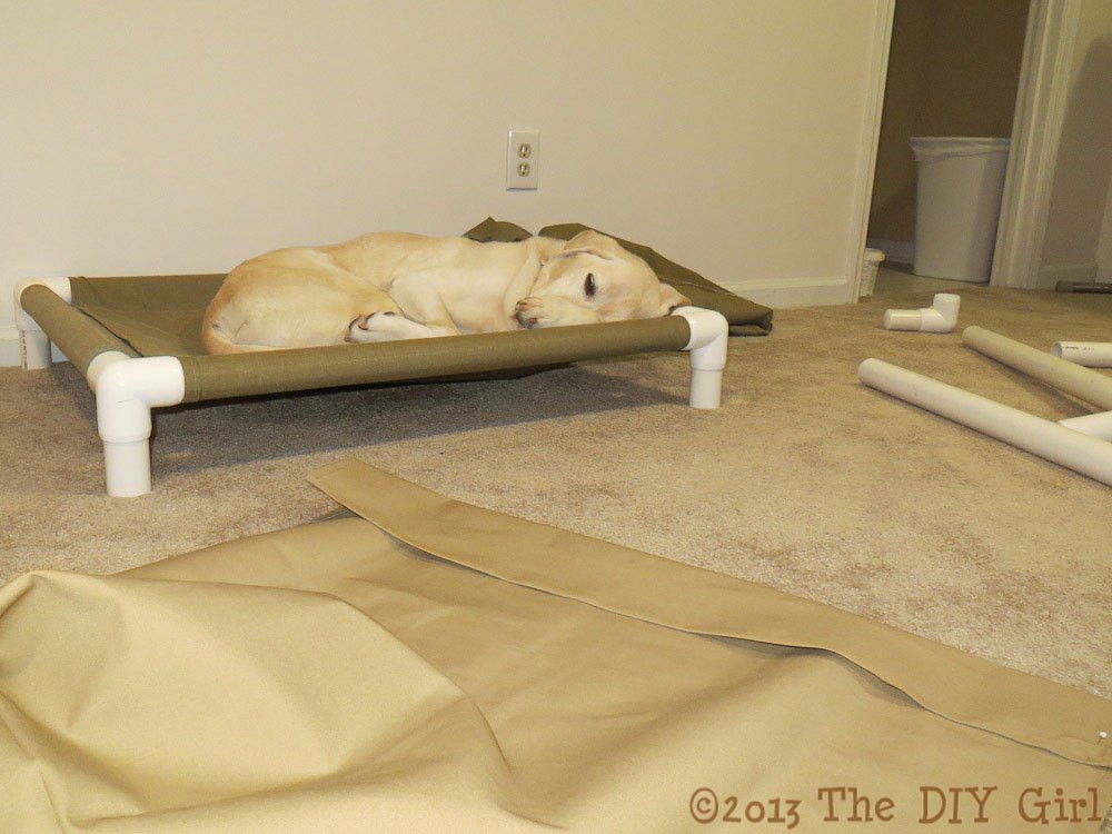 Best ideas about DIY Dog Cot
. Save or Pin PVC Dog Cot Tutorial The DIY Girl Now.