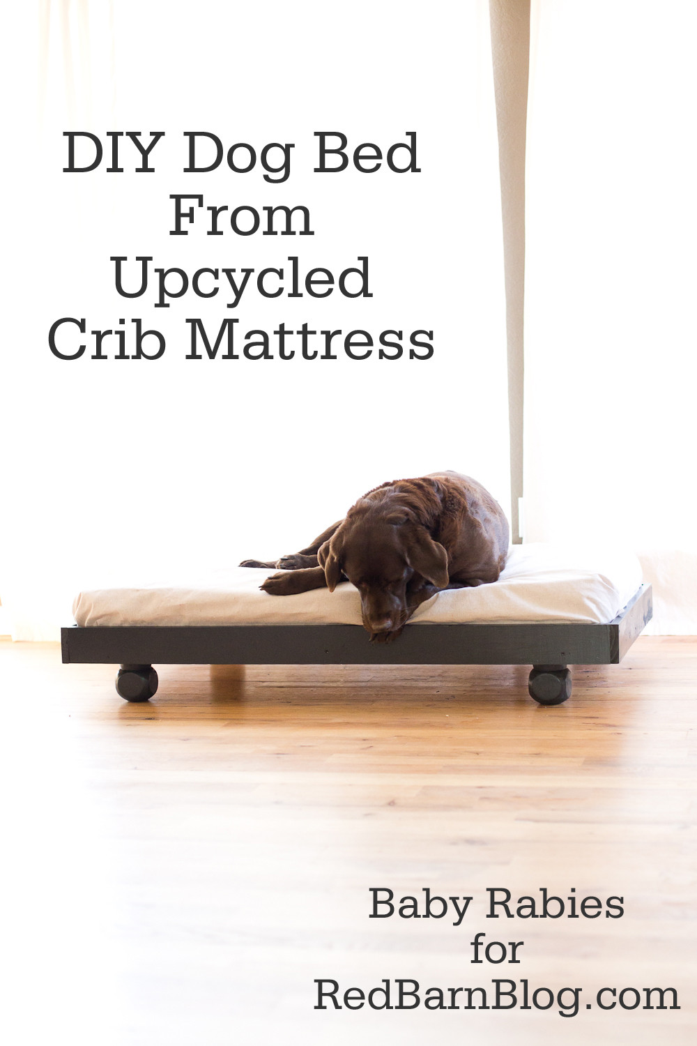 Best ideas about DIY Dog Cot
. Save or Pin DIY Dog Bed from Upcycled Crib Mattress Now.