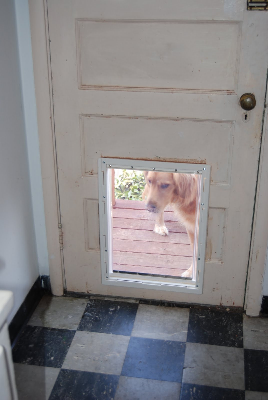 Best ideas about DIY Dog Door
. Save or Pin It s a Beautiful Day in Our Neighborhood Dog Door Now.