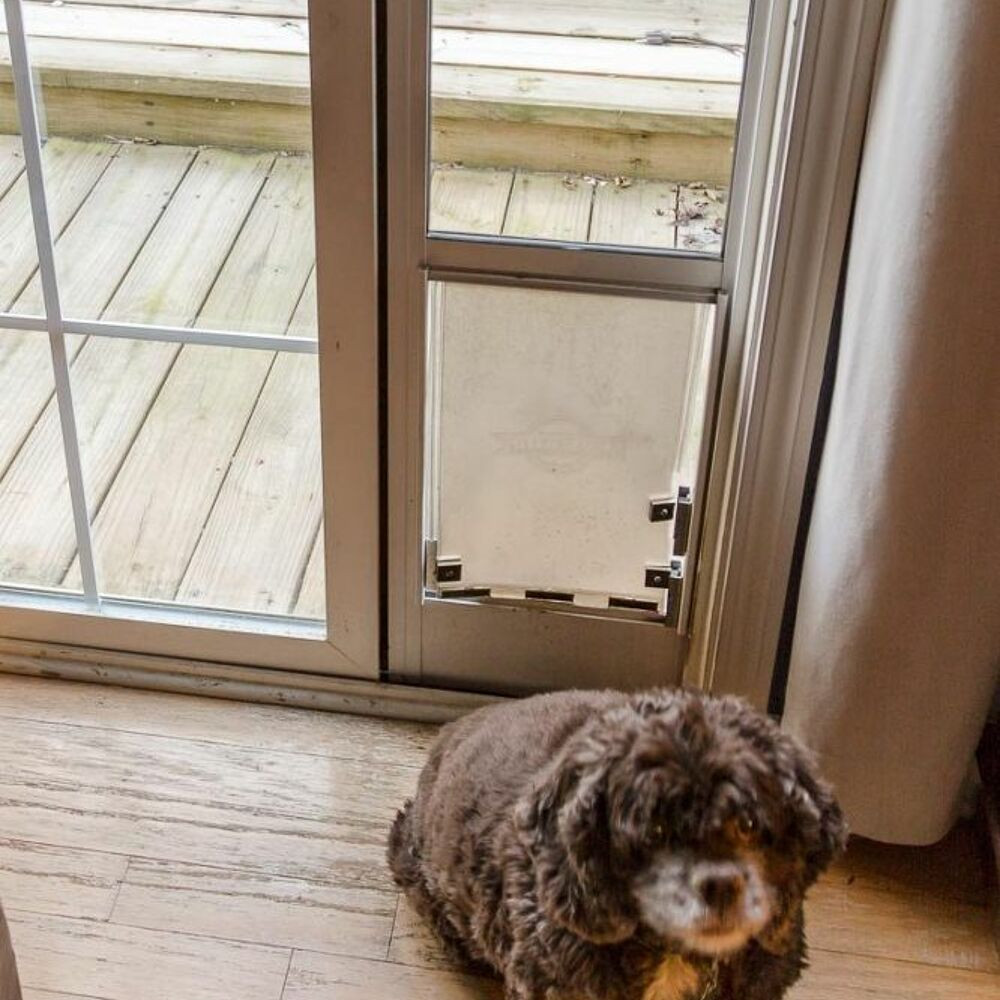 Best ideas about DIY Dog Door
. Save or Pin How To Keep The Cat From Using The Dog Door DIY Dog Door Now.