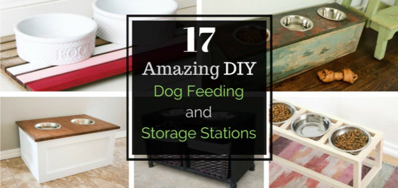 Best ideas about DIY Dog Feeding Station
. Save or Pin 17 Amazing DIY Dog Feeding Stations and Storage Now.