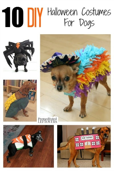 Best ideas about DIY Dog Halloween Costume
. Save or Pin 10 DIY Halloween Costumes for Dogs Now.