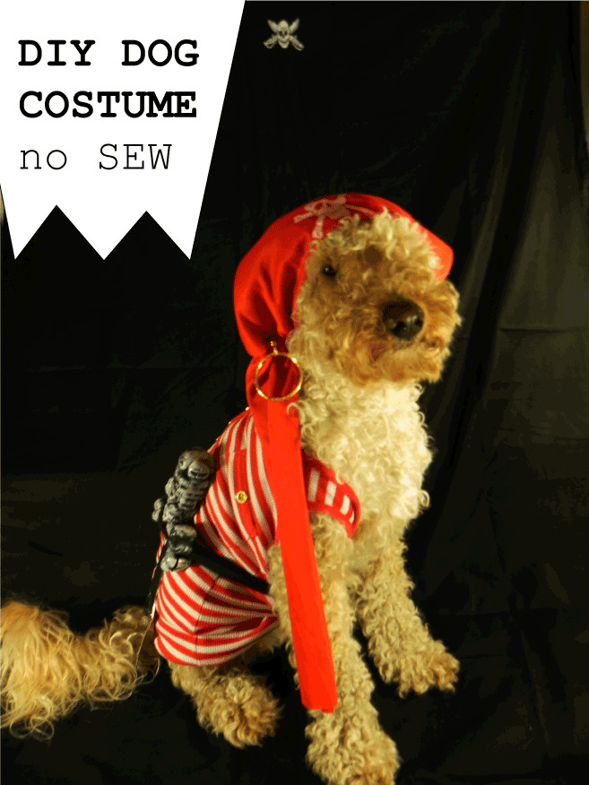 Best ideas about DIY Dog Halloween Costume
. Save or Pin DIY dog costume – No sew – luigi & me Now.