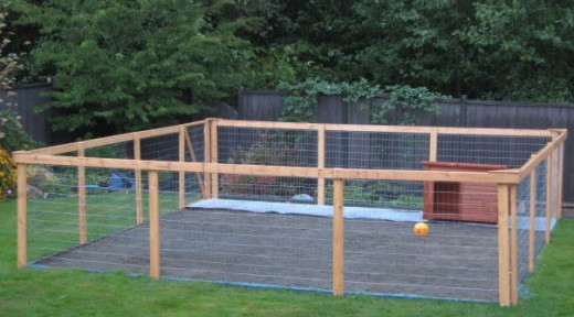 Best ideas about DIY Dog Kennels
. Save or Pin Should I Build or Buy a Dog Kennel Run Now.