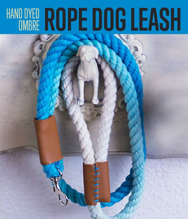 Best ideas about DIY Dog Leash
. Save or Pin Ombre Rope Dog Leash Now.