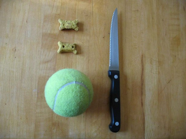 Best ideas about DIY Dog Puzzle Toys
. Save or Pin 33 DIY Dog Toys from Things Around the House Now.