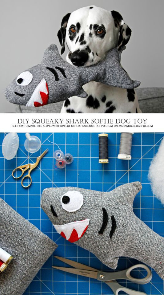 Best ideas about DIY Dog Stuff
. Save or Pin Best 25 Sharks ideas only on Pinterest Now.