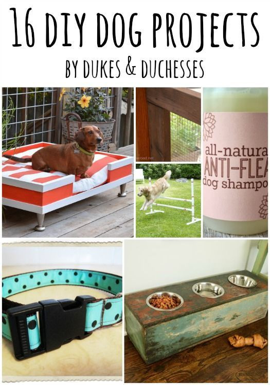 Best ideas about DIY Dog Stuff
. Save or Pin 16 super cool DIY projects that will be great for your fur Now.
