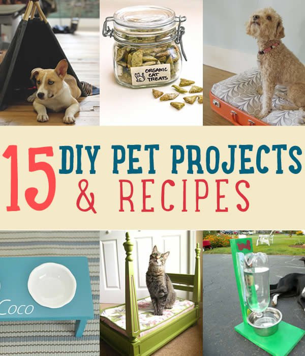 Best ideas about DIY Dog Stuff
. Save or Pin Recipe Ideas for Your Pets DIY Projects Craft Ideas & How Now.