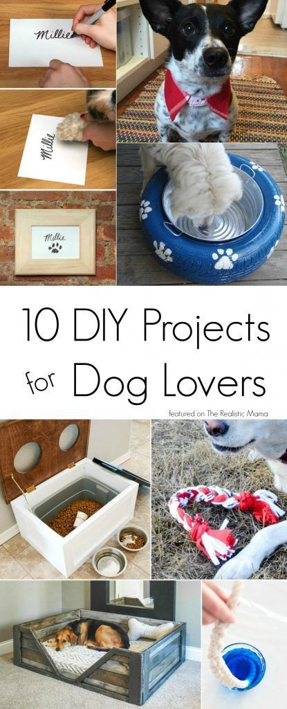 Best ideas about DIY Dog Stuff
. Save or Pin Best 25 Awesome dogs ideas on Pinterest Now.