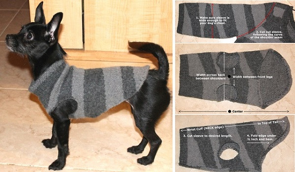 Best ideas about DIY Dog Sweater
. Save or Pin How To Make A Chic Dog Sweater DIY AllDayChic Now.