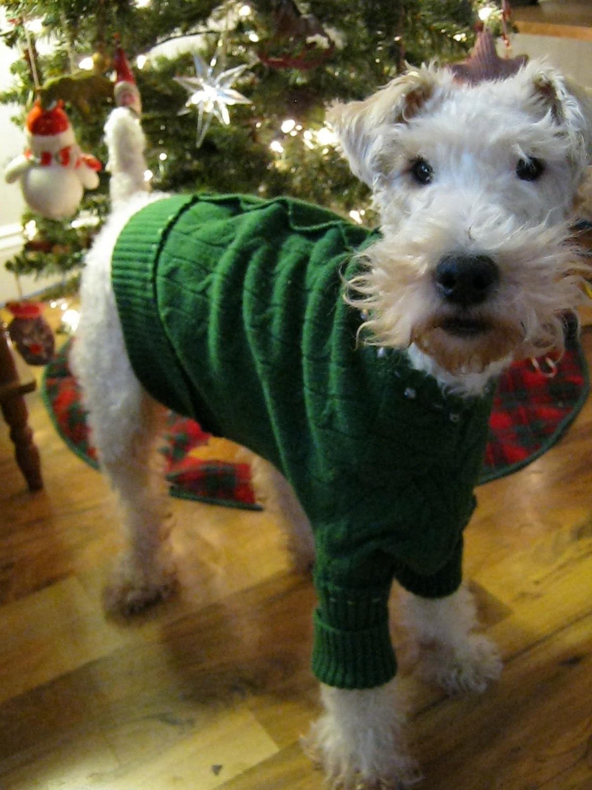 Best ideas about DIY Dog Sweater
. Save or Pin Two Blue Houses Upcycled Homemade Dog Sweater Now.