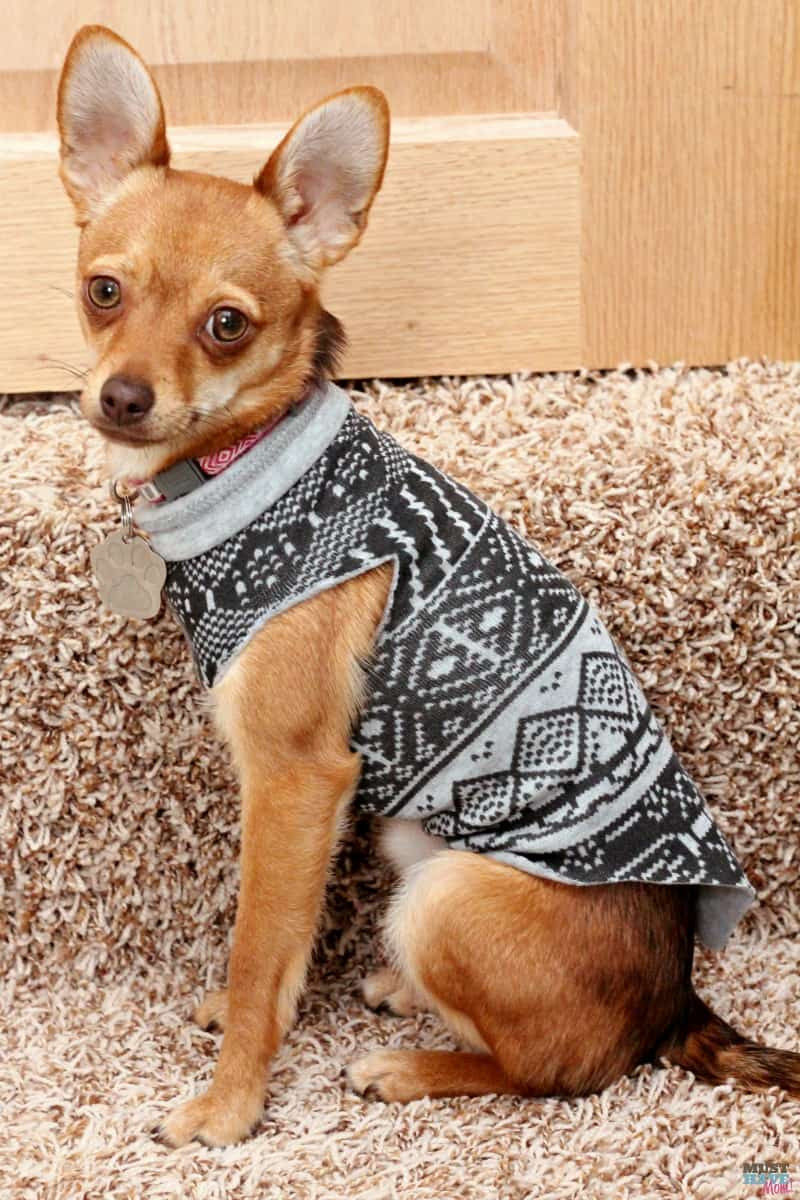 Best ideas about DIY Dog Sweater
. Save or Pin Make A DIY Dog Sweater From A Sweatshirt Doggie Travel Now.