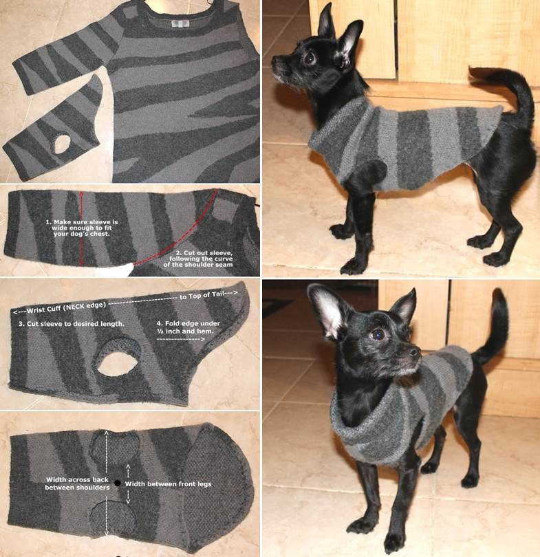Best ideas about DIY Dog Sweater
. Save or Pin Creative Ideas DIY Dog Sweater from Old Sweater Sleeve Now.
