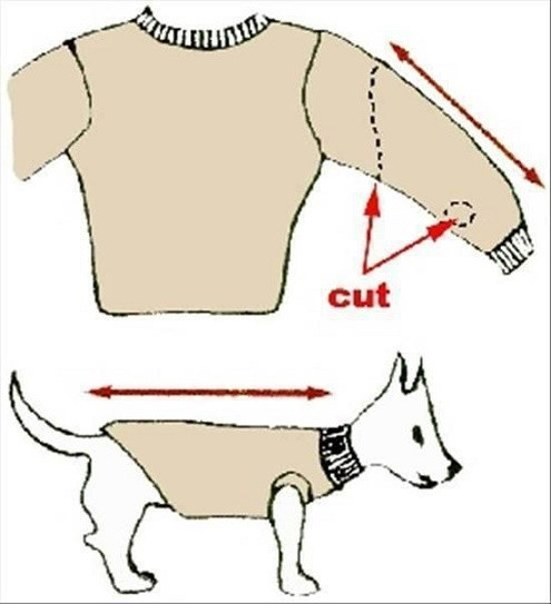Best ideas about DIY Dog Sweater
. Save or Pin How To Turn Old Sweaters and Sweatpants Into No Sew Dog Now.