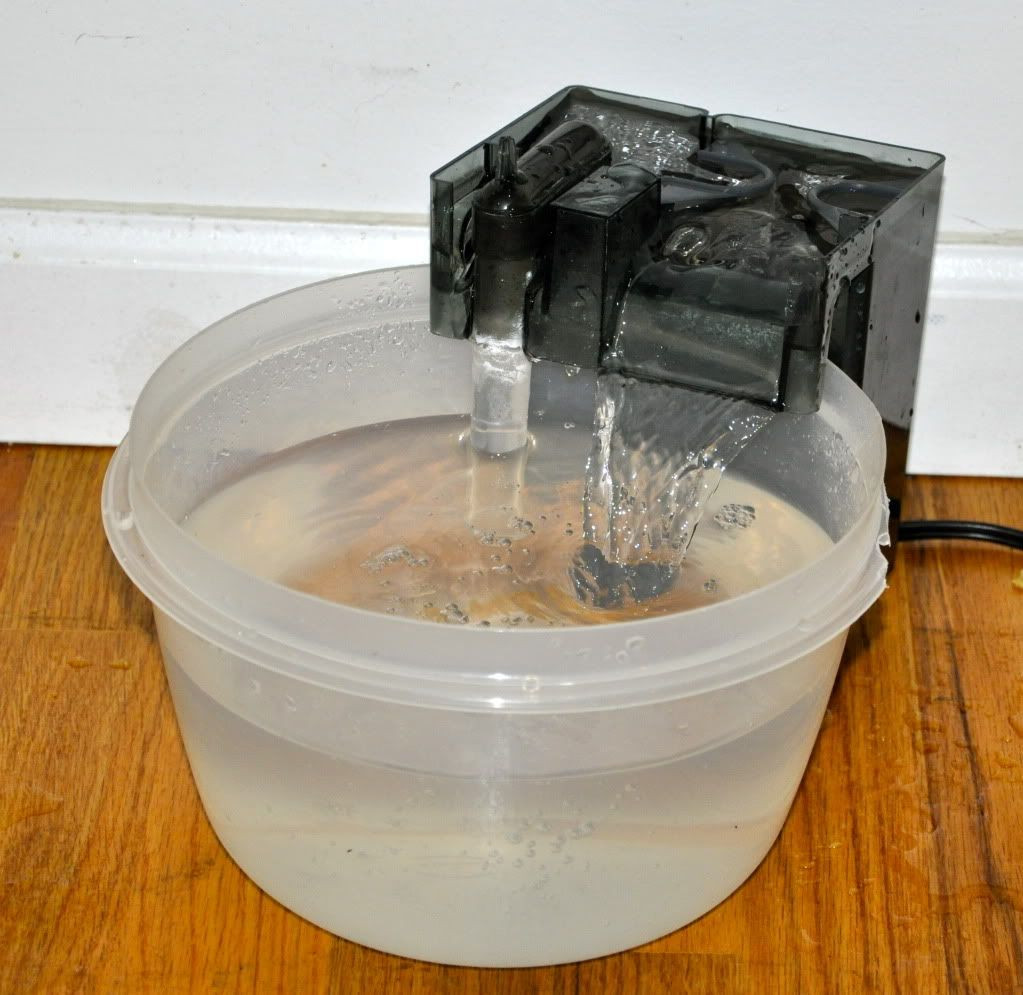 Best ideas about DIY Dog Water Bowl
. Save or Pin DIY cat dog water fountain Cool idea My cats will Now.