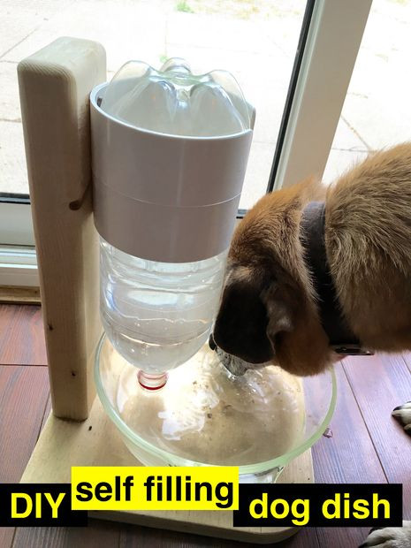 Best ideas about DIY Dog Water Bowl
. Save or Pin DIY Self Watering Dog Dish 11 Steps with Now.