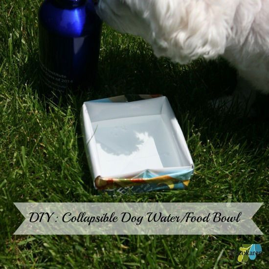 Best ideas about DIY Dog Water Bowl
. Save or Pin DIY Collapsible & Portable Dog Water Food Bowl Dr Now.
