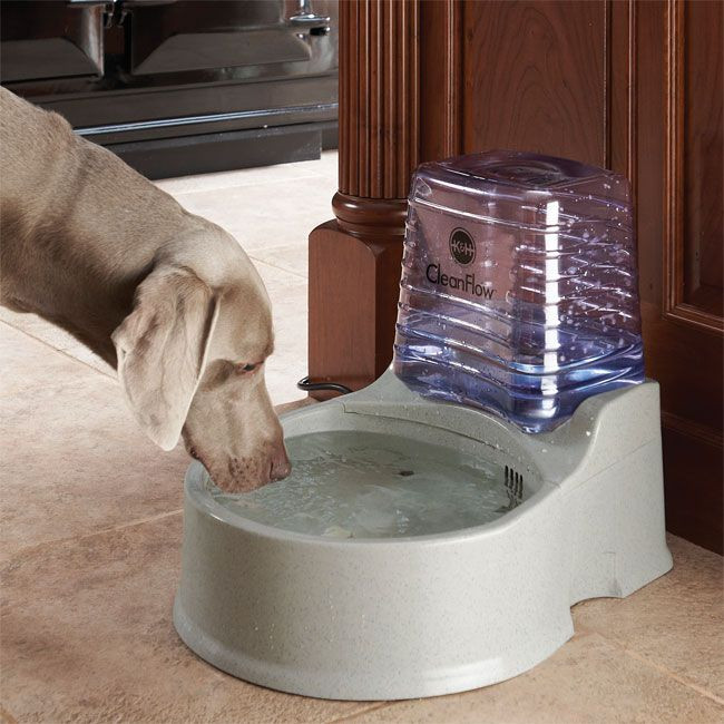 Best ideas about DIY Dog Water Bowl
. Save or Pin Best 25 Dog water bowls ideas on Pinterest Now.