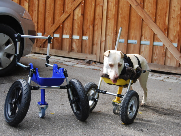 Best ideas about DIY Dog Wheelchair For Front Legs
. Save or Pin Dog wheelchair improved for twolegged dogs front legs by Now.