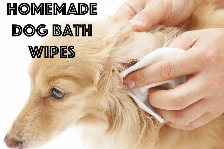 Best ideas about DIY Dog Wipes
. Save or Pin DIY dog bath wipes Perfect for when your dog needs just a Now.