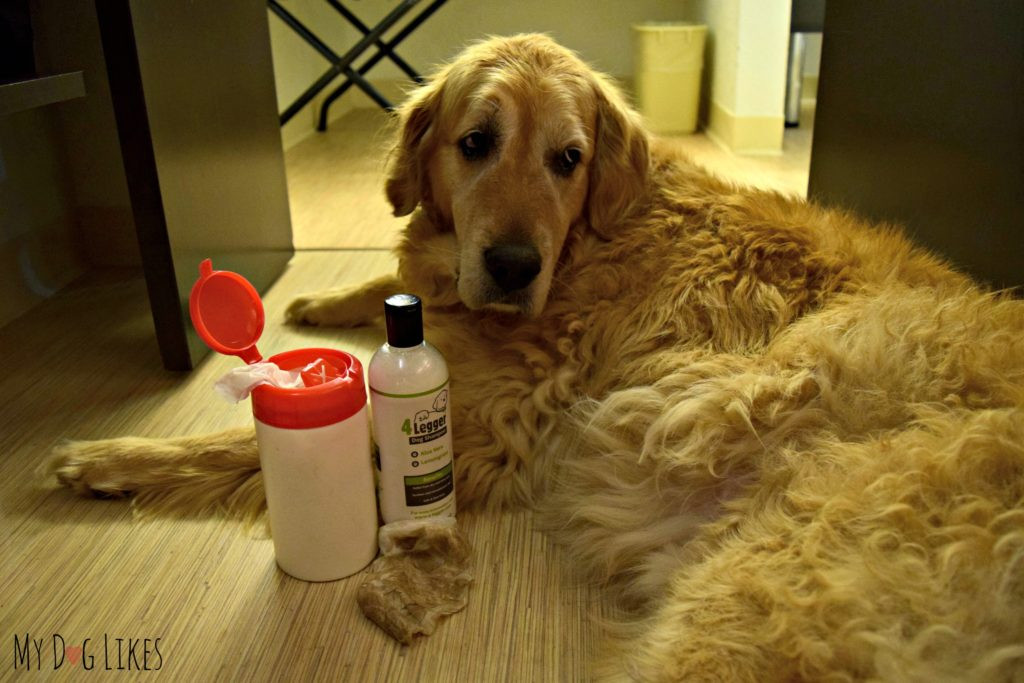 Best ideas about DIY Dog Wipes
. Save or Pin Making DIY Dog Grooming Wipes Perfect for on the Go Now.