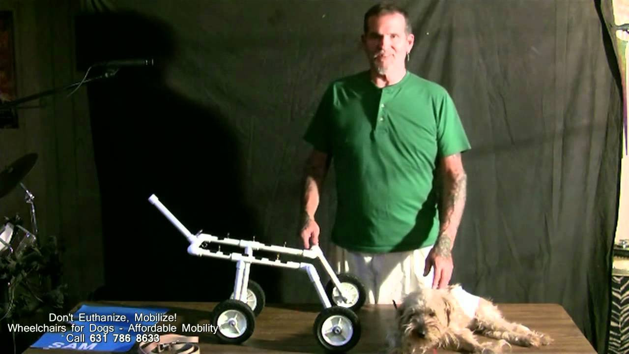 Best ideas about DIY Doggie Wheelchair
. Save or Pin Wheelchairs for Dogs Now.