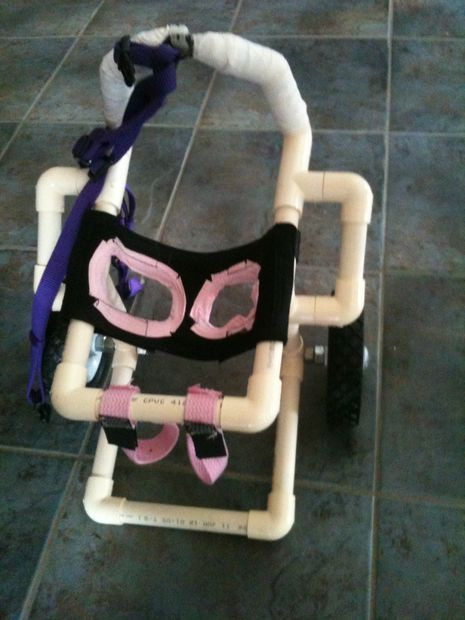 Best ideas about DIY Doggie Wheelchair
. Save or Pin Dog Wheelchair Pets Now.