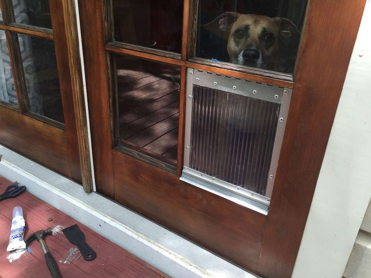 Best ideas about DIY Doggy Door
. Save or Pin DIY dog door for french door window panes howchoo Now.