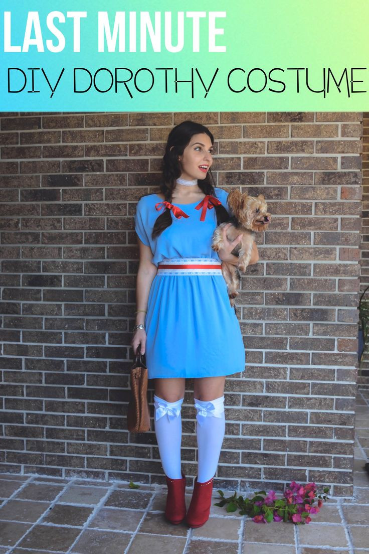 Best ideas about DIY Dorothy Costume For Adults
. Save or Pin Last Minute Dorothy Costume DIY Now.
