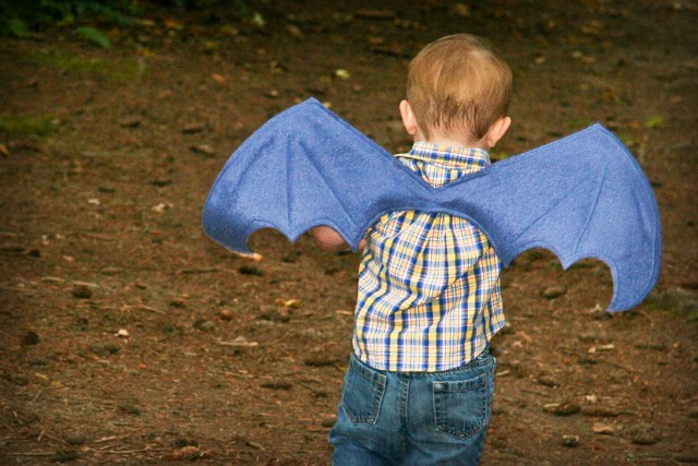 Best ideas about DIY Dragon Wings
. Save or Pin DIY Dragon Training – Family Fun ideas 5 Now.