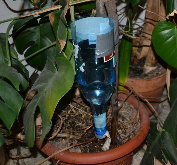 Best ideas about DIY Drip Irrigation
. Save or Pin DIY DRIP WATERING SYSTEM adjustable ♻ Now.