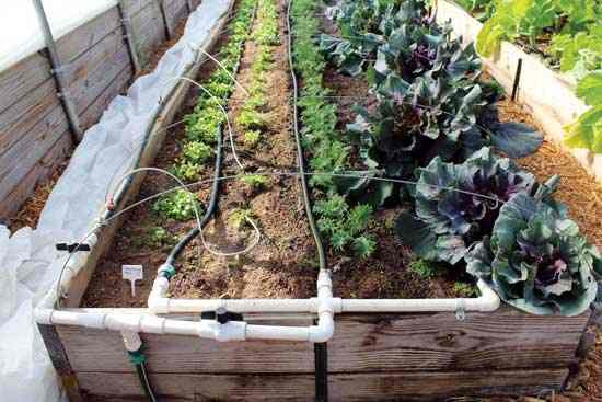 Best ideas about DIY Drip Irrigation
. Save or Pin How to Build a Drip Irrigation System DIY Mother Earth Now.