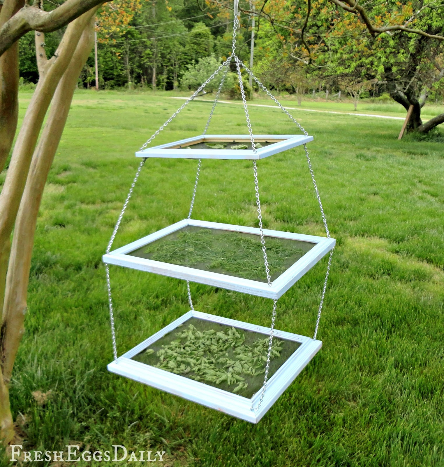 Best ideas about DIY Drying Rack
. Save or Pin DIY Tiered Herb Drying Rack Using Repurposed Picture Now.
