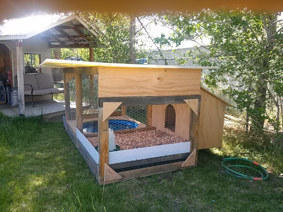 Best ideas about DIY Duck House
. Save or Pin A Duck House Now.