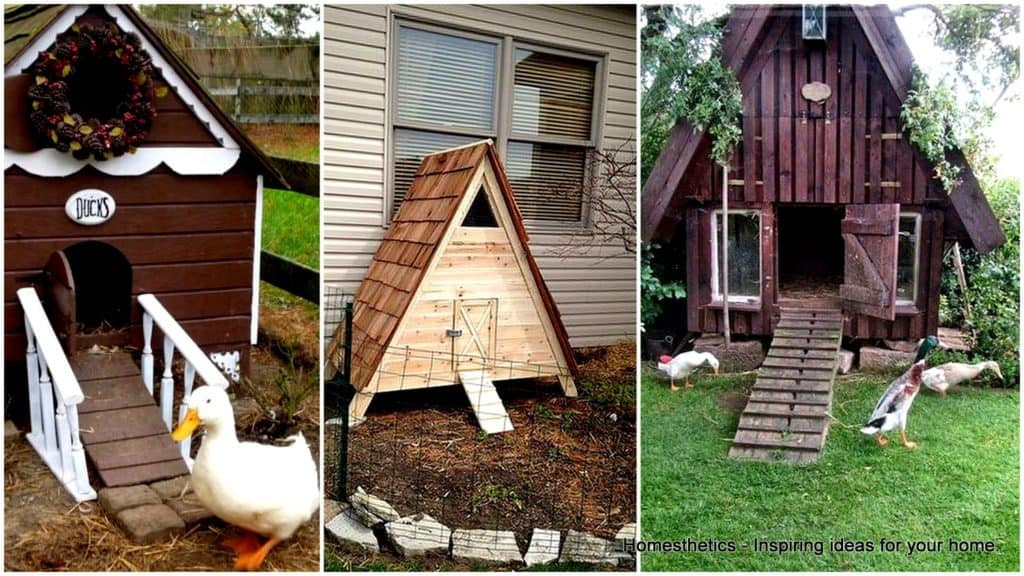 Best ideas about DIY Duck House Plans
. Save or Pin 57 DIY Chicken Coop Plans in Easy to Build Tutorials 100 Now.
