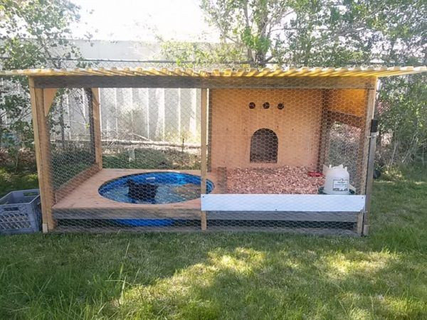 Best ideas about DIY Duck House Plans
. Save or Pin 37 Free DIY Duck House Coop Plans & Ideas that You Can Now.