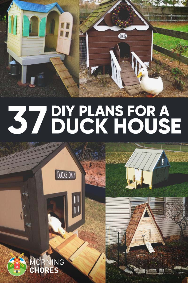 Best ideas about DIY Duck House Plans
. Save or Pin 37 Free DIY Duck House Coop Plans & Ideas that You Can Now.